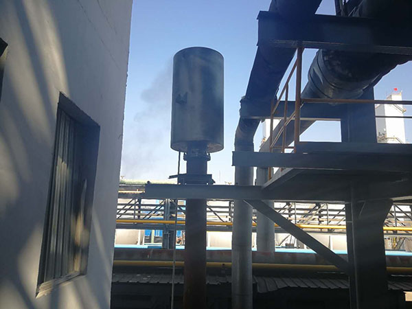 蒸汽消音器案例